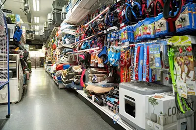 Crazy Pets - Sklep Zoologiczny